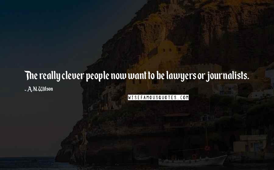 A. N. Wilson Quotes: The really clever people now want to be lawyers or journalists.