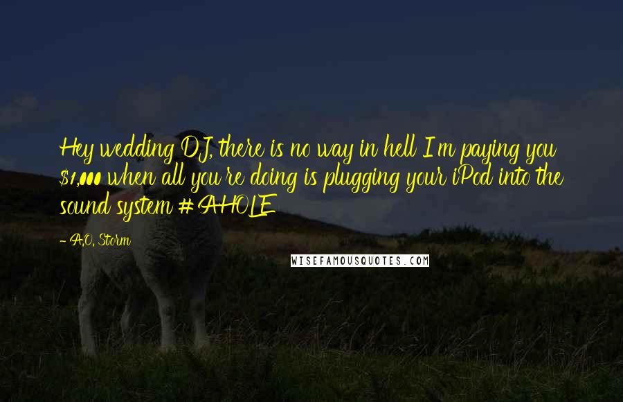 A.O. Storm Quotes: Hey wedding DJ, there is no way in hell I'm paying you $1,000 when all you're doing is plugging your iPod into the sound system #AHOLE