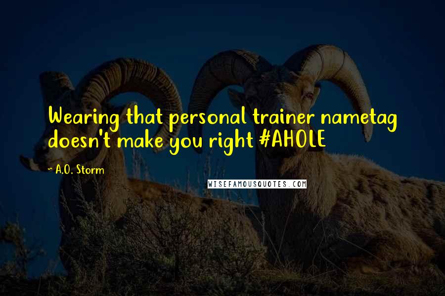 A.O. Storm Quotes: Wearing that personal trainer nametag doesn't make you right #AHOLE