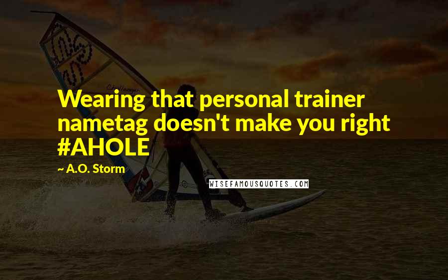 A.O. Storm Quotes: Wearing that personal trainer nametag doesn't make you right #AHOLE