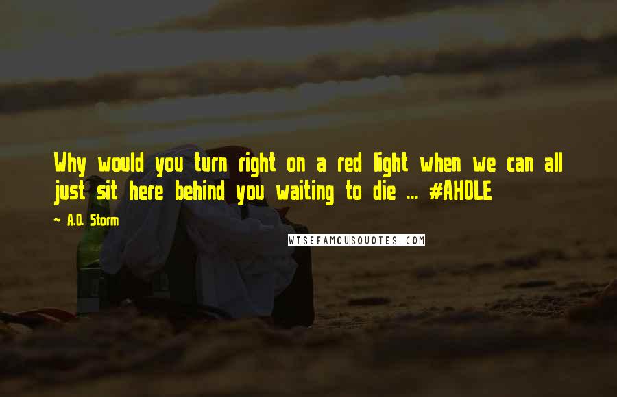 A.O. Storm Quotes: Why would you turn right on a red light when we can all just sit here behind you waiting to die ... #AHOLE