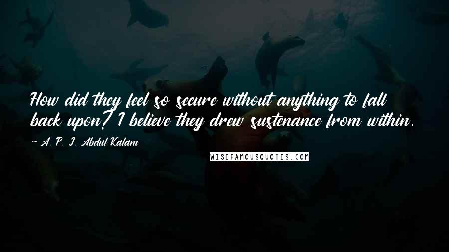 A. P. J. Abdul Kalam Quotes: How did they feel so secure without anything to fall back upon? I believe they drew sustenance from within.