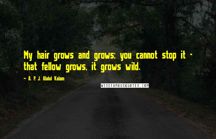 A. P. J. Abdul Kalam Quotes: My hair grows and grows; you cannot stop it - that fellow grows, it grows wild.