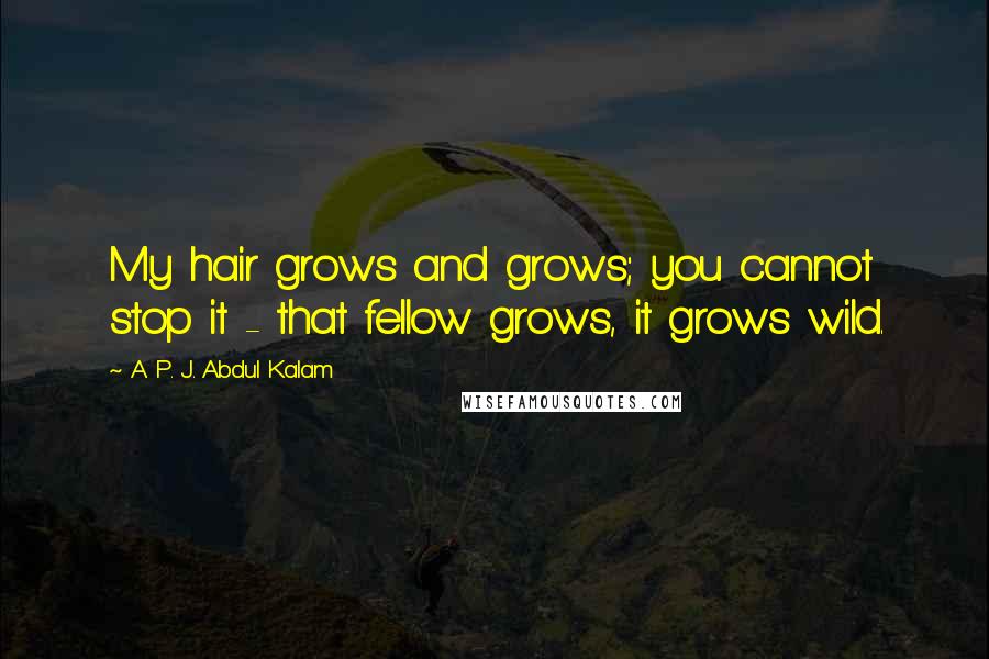 A. P. J. Abdul Kalam Quotes: My hair grows and grows; you cannot stop it - that fellow grows, it grows wild.