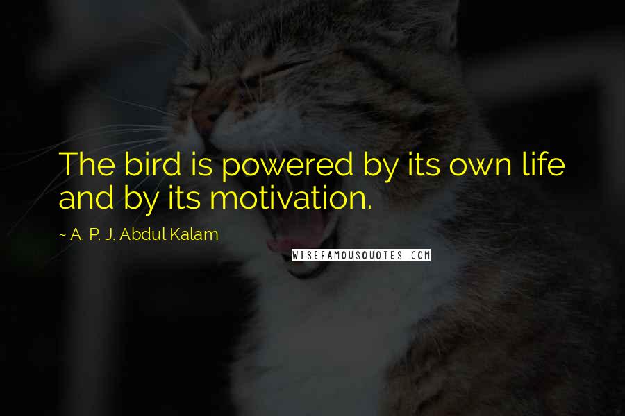 A. P. J. Abdul Kalam Quotes: The bird is powered by its own life and by its motivation.