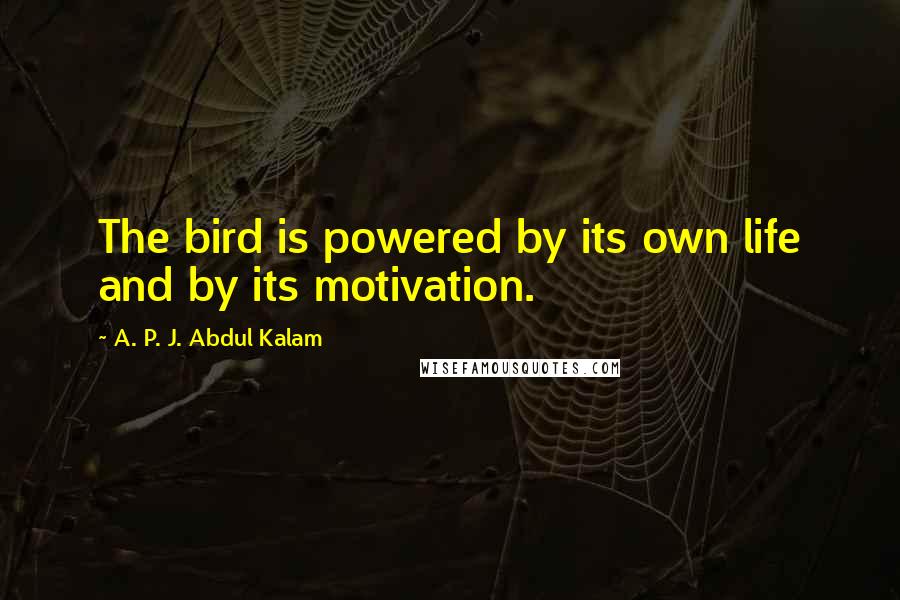 A. P. J. Abdul Kalam Quotes: The bird is powered by its own life and by its motivation.