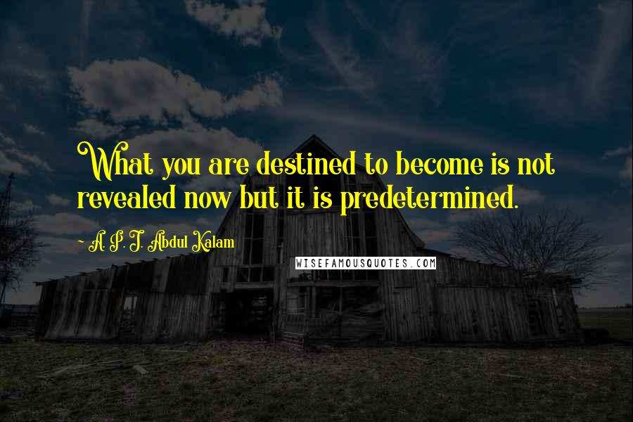 A. P. J. Abdul Kalam Quotes: What you are destined to become is not revealed now but it is predetermined.