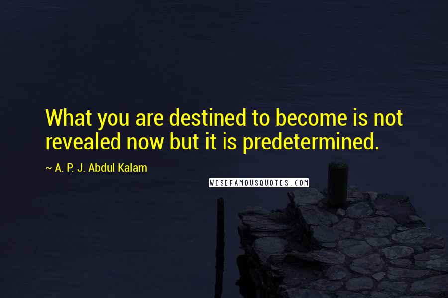 A. P. J. Abdul Kalam Quotes: What you are destined to become is not revealed now but it is predetermined.