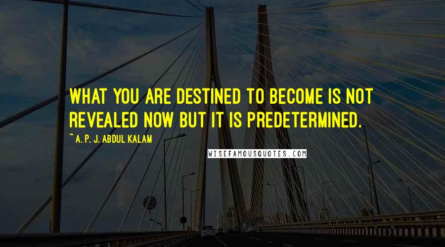 A. P. J. Abdul Kalam Quotes: What you are destined to become is not revealed now but it is predetermined.