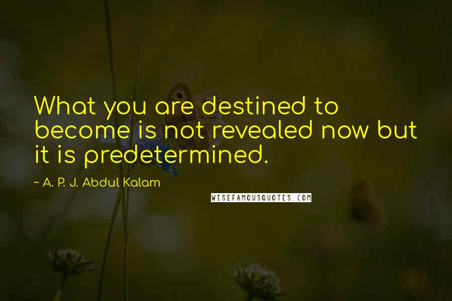 A. P. J. Abdul Kalam Quotes: What you are destined to become is not revealed now but it is predetermined.