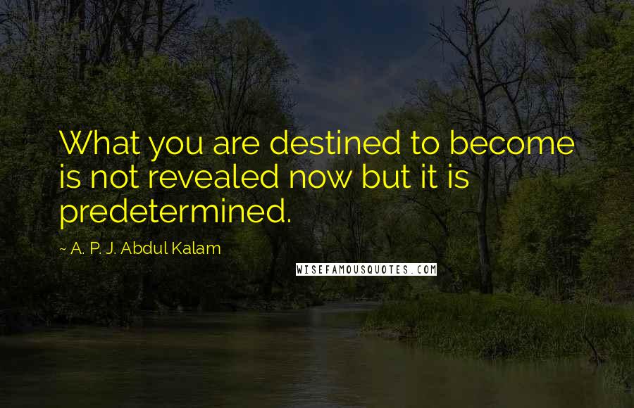 A. P. J. Abdul Kalam Quotes: What you are destined to become is not revealed now but it is predetermined.