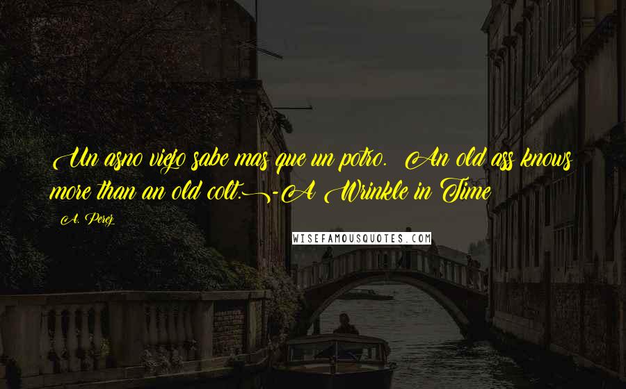 A. Perez Quotes: Un asno viejo sabe mas que un potro. (An old ass knows more than an old colt.)-A Wrinkle in Time