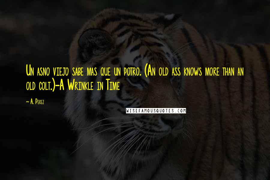 A. Perez Quotes: Un asno viejo sabe mas que un potro. (An old ass knows more than an old colt.)-A Wrinkle in Time