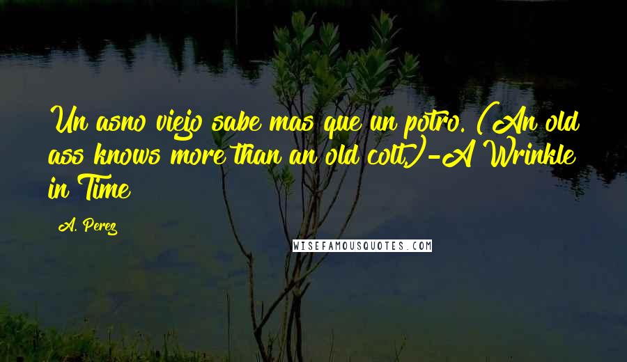 A. Perez Quotes: Un asno viejo sabe mas que un potro. (An old ass knows more than an old colt.)-A Wrinkle in Time