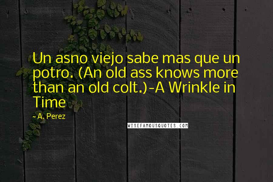 A. Perez Quotes: Un asno viejo sabe mas que un potro. (An old ass knows more than an old colt.)-A Wrinkle in Time