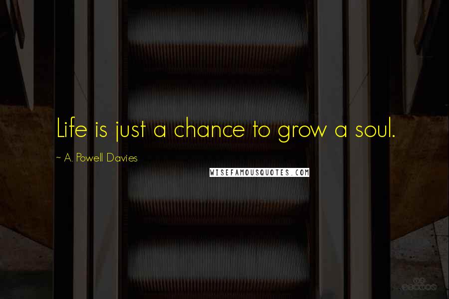 A. Powell Davies Quotes: Life is just a chance to grow a soul.