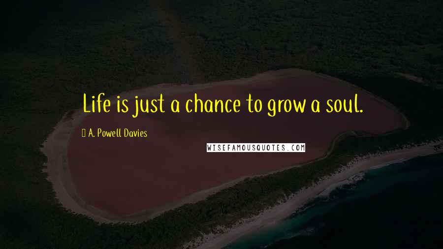 A. Powell Davies Quotes: Life is just a chance to grow a soul.