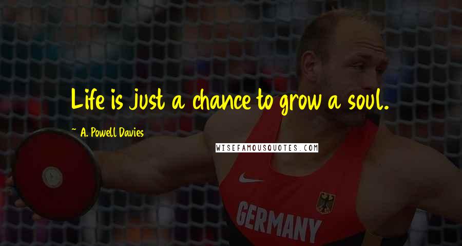 A. Powell Davies Quotes: Life is just a chance to grow a soul.