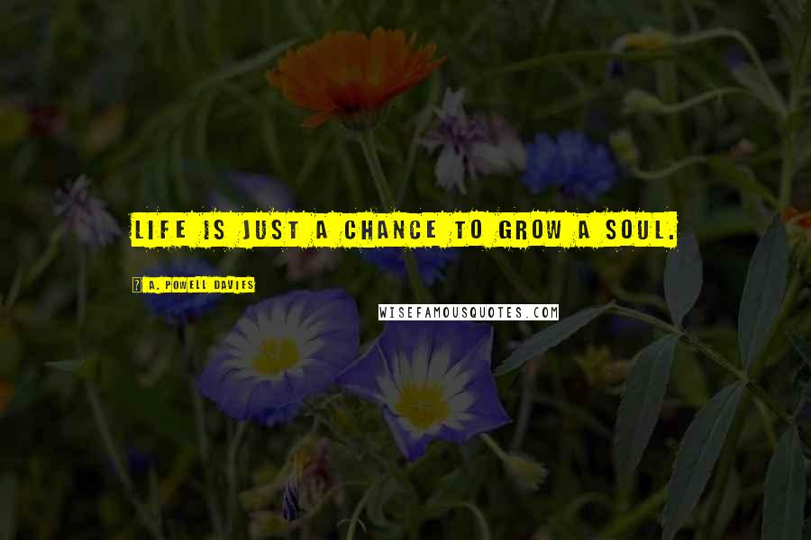 A. Powell Davies Quotes: Life is just a chance to grow a soul.