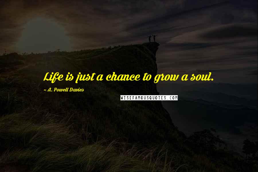 A. Powell Davies Quotes: Life is just a chance to grow a soul.