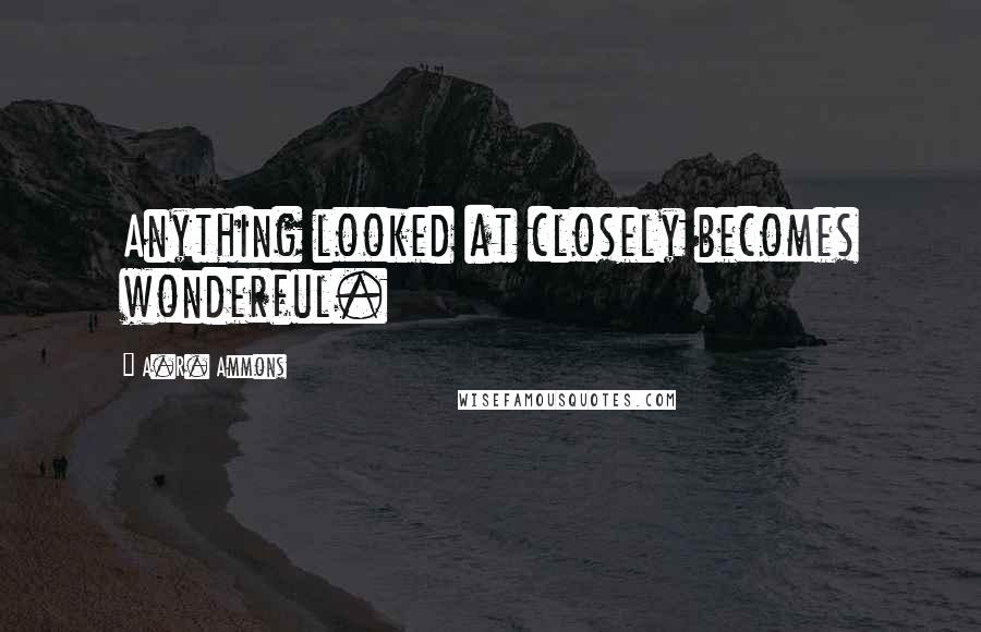 A.R. Ammons Quotes: Anything looked at closely becomes wonderful.