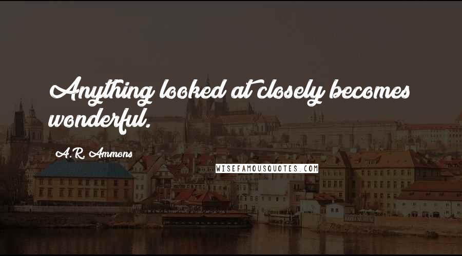 A.R. Ammons Quotes: Anything looked at closely becomes wonderful.