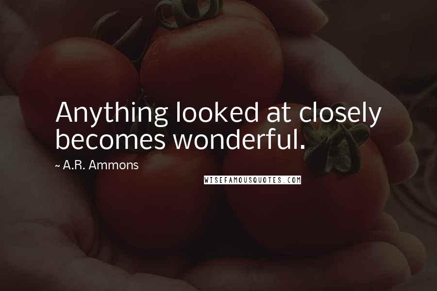 A.R. Ammons Quotes: Anything looked at closely becomes wonderful.