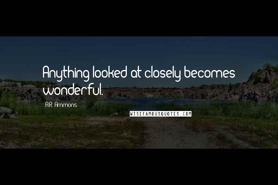 A.R. Ammons Quotes: Anything looked at closely becomes wonderful.