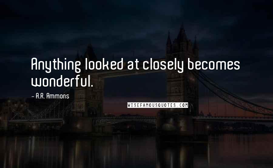 A.R. Ammons Quotes: Anything looked at closely becomes wonderful.