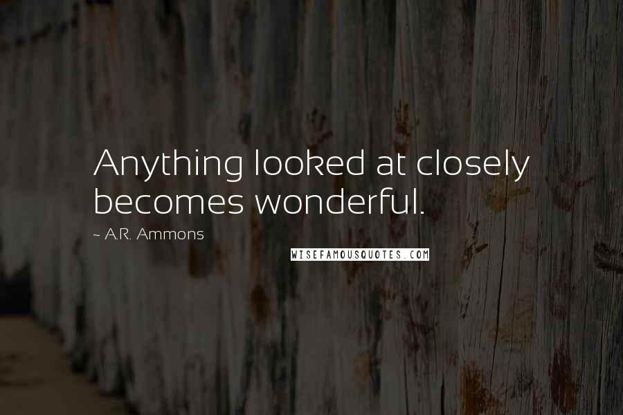 A.R. Ammons Quotes: Anything looked at closely becomes wonderful.