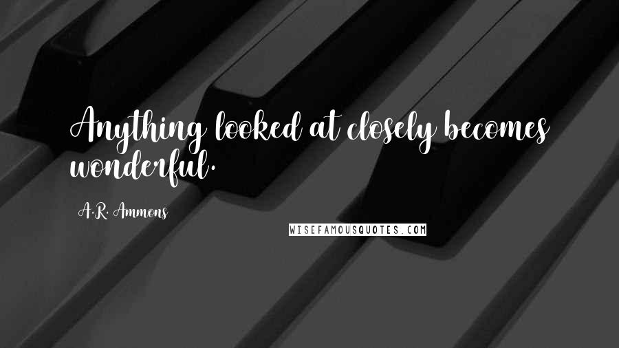 A.R. Ammons Quotes: Anything looked at closely becomes wonderful.