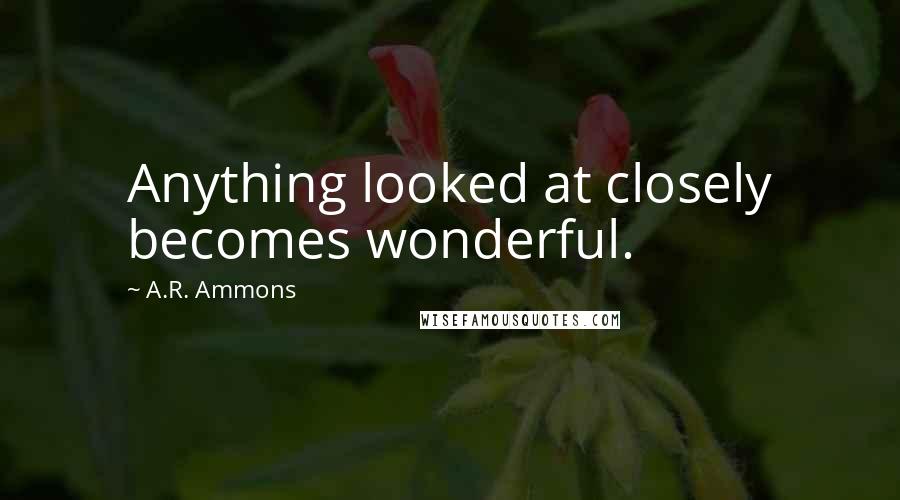 A.R. Ammons Quotes: Anything looked at closely becomes wonderful.