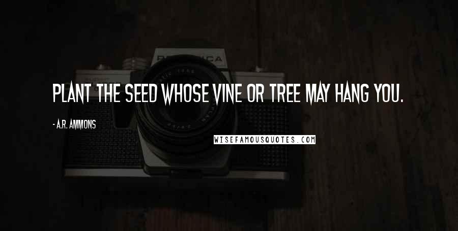 A.R. Ammons Quotes: Plant the seed whose vine or tree may hang you.