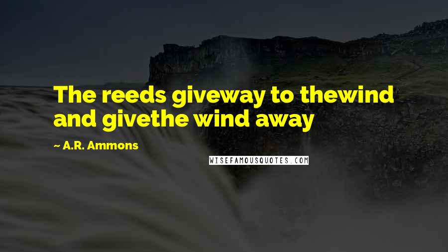 A.R. Ammons Quotes: The reeds giveway to thewind and givethe wind away