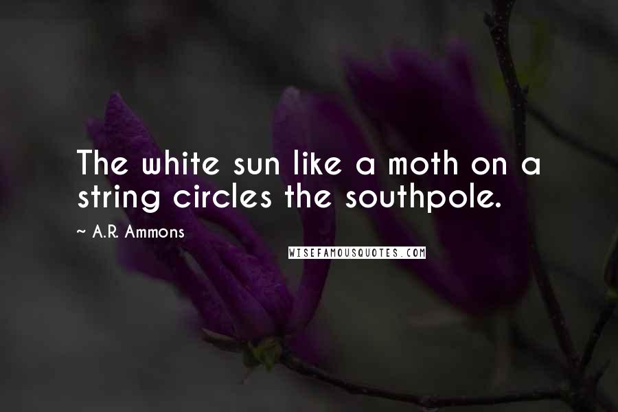 A.R. Ammons Quotes: The white sun like a moth on a string circles the southpole.