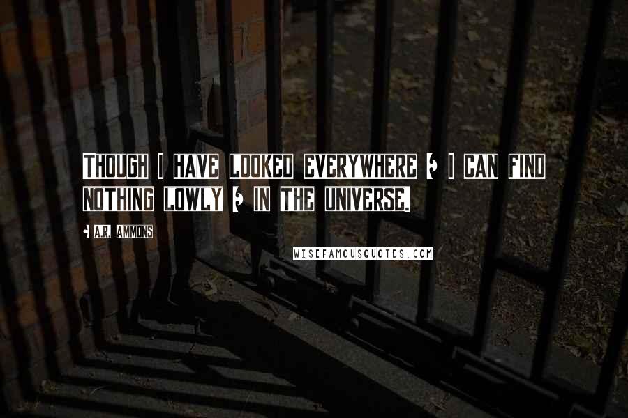 A.R. Ammons Quotes: Though I have looked everywhere / I can find nothing lowly / in the universe.