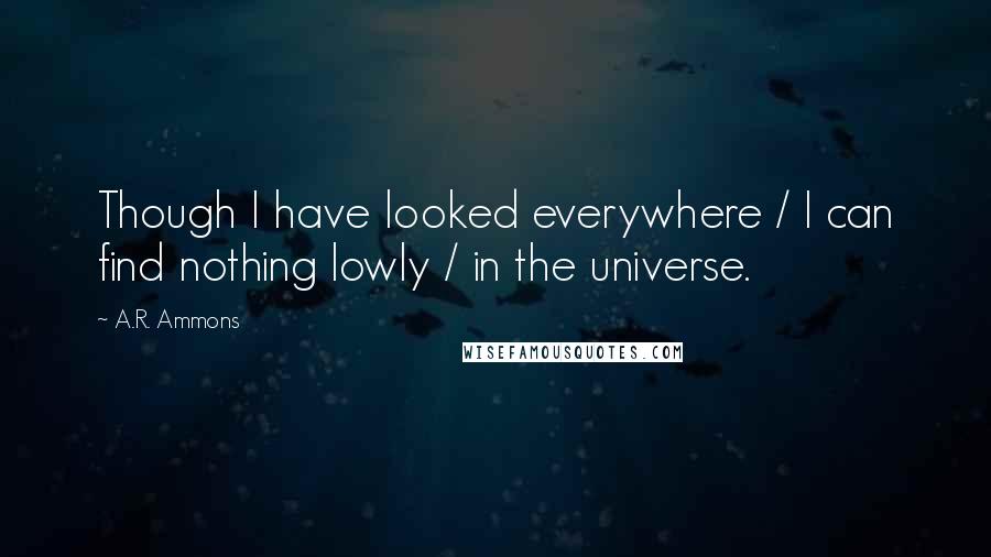 A.R. Ammons Quotes: Though I have looked everywhere / I can find nothing lowly / in the universe.