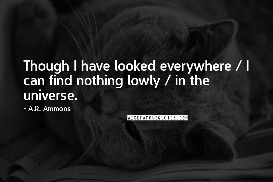 A.R. Ammons Quotes: Though I have looked everywhere / I can find nothing lowly / in the universe.