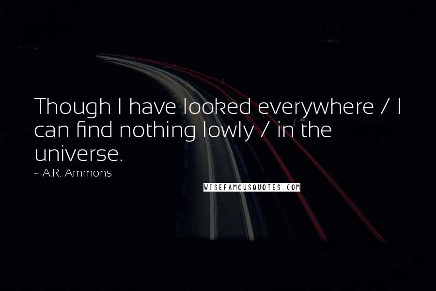 A.R. Ammons Quotes: Though I have looked everywhere / I can find nothing lowly / in the universe.