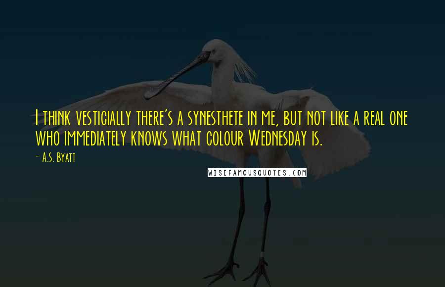 A.S. Byatt Quotes: I think vestigially there's a synesthete in me, but not like a real one who immediately knows what colour Wednesday is.