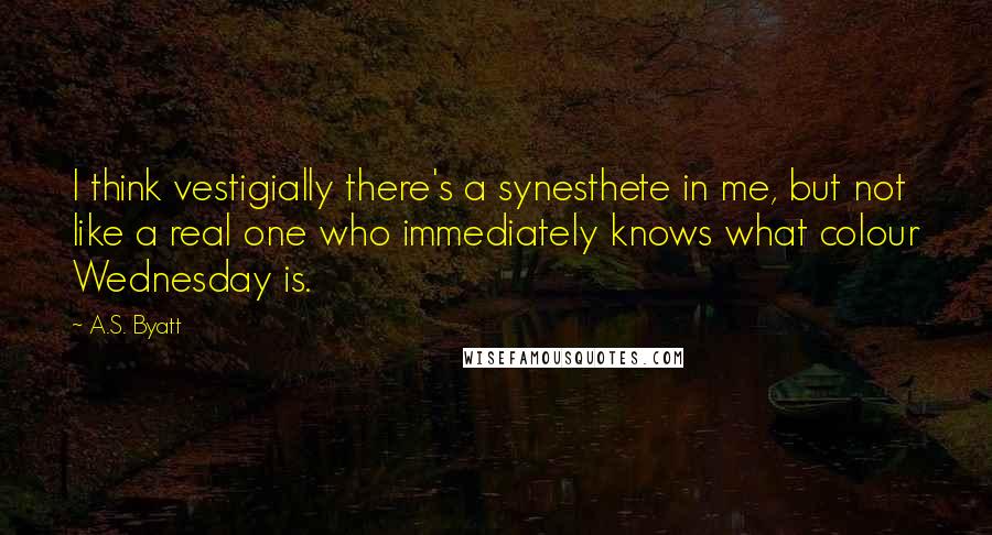 A.S. Byatt Quotes: I think vestigially there's a synesthete in me, but not like a real one who immediately knows what colour Wednesday is.