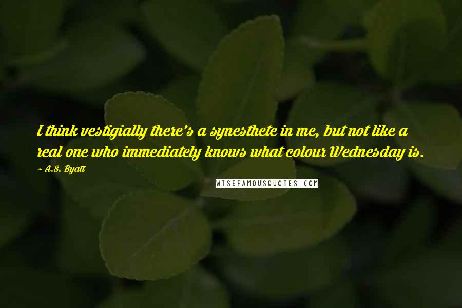 A.S. Byatt Quotes: I think vestigially there's a synesthete in me, but not like a real one who immediately knows what colour Wednesday is.