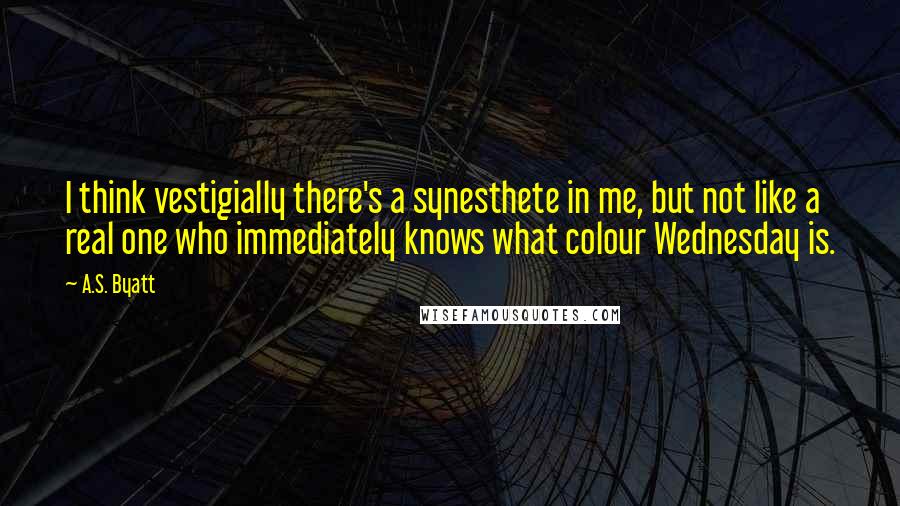 A.S. Byatt Quotes: I think vestigially there's a synesthete in me, but not like a real one who immediately knows what colour Wednesday is.