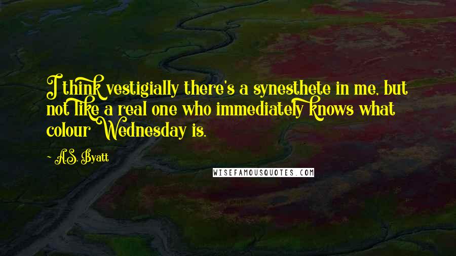 A.S. Byatt Quotes: I think vestigially there's a synesthete in me, but not like a real one who immediately knows what colour Wednesday is.