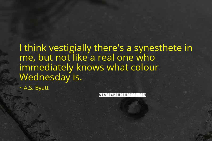 A.S. Byatt Quotes: I think vestigially there's a synesthete in me, but not like a real one who immediately knows what colour Wednesday is.