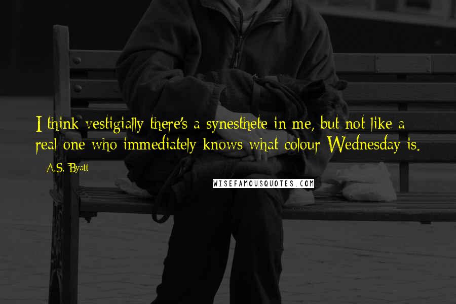 A.S. Byatt Quotes: I think vestigially there's a synesthete in me, but not like a real one who immediately knows what colour Wednesday is.