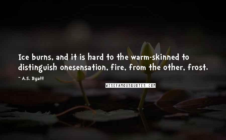A.S. Byatt Quotes: Ice burns, and it is hard to the warm-skinned to distinguish onesensation, fire, from the other, frost.