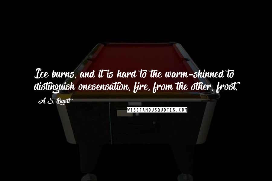 A.S. Byatt Quotes: Ice burns, and it is hard to the warm-skinned to distinguish onesensation, fire, from the other, frost.