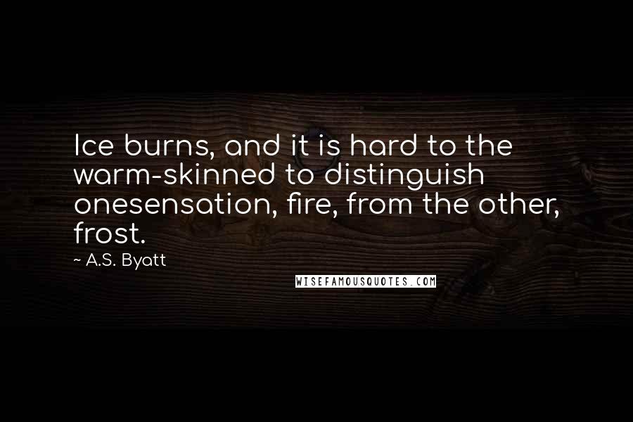 A.S. Byatt Quotes: Ice burns, and it is hard to the warm-skinned to distinguish onesensation, fire, from the other, frost.