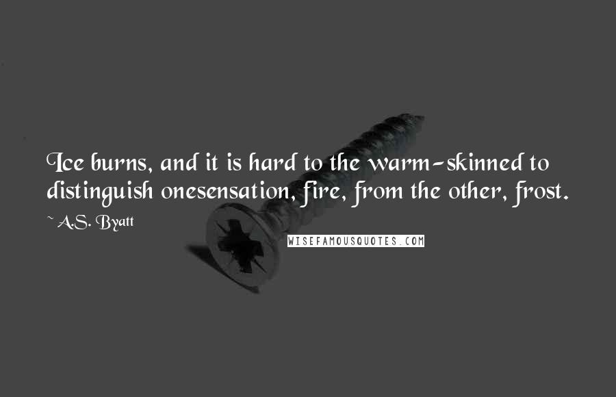 A.S. Byatt Quotes: Ice burns, and it is hard to the warm-skinned to distinguish onesensation, fire, from the other, frost.